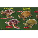 あそべる生物 フィギュア シリーズ 世界 の 亀たち 1 / 4種セット タカラトミーアーツ ガチャポン ガチャガチャ ガシャポン