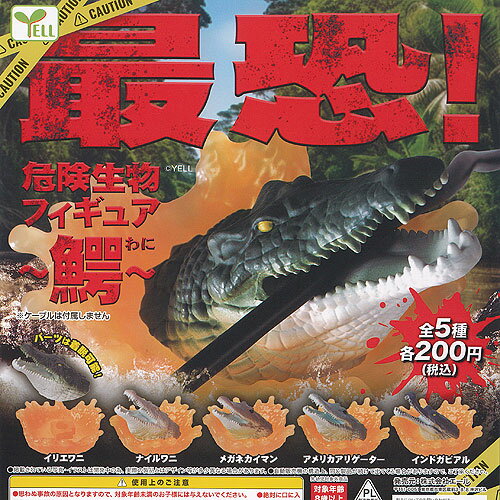 最恐 危険生物 フィギュア 鰐 全5種+ディスプレイ台紙セット エール ガチャポン ガチャガチャ ガシャポン　コンプリート