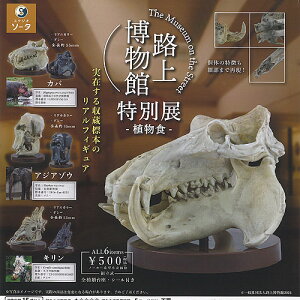 路上博物館 特別展 植物食 全6種セット SO-TA ガチャポン ガチャガチャ ガシャポン コンプリート