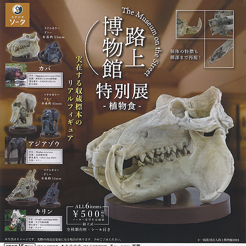 路上博物館 特別展 植物食 全6種+ディスプレイ台紙セット SO-TA ガチャポン ガチャガチャ ガシャポン コンプリート