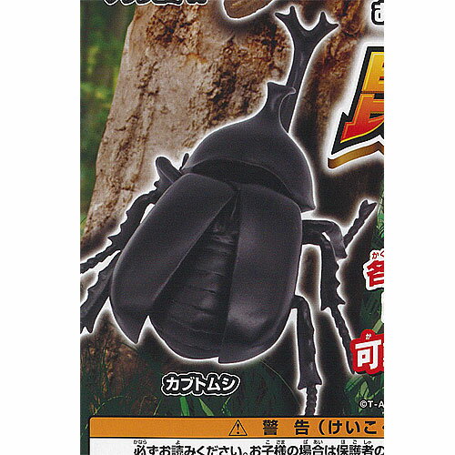 あそべる生物 フィギュア シリーズ 昆虫の森 怪音波のなぞ 1：カブトムシ タカラトミーアーツ ガチャポン ガチャガチャ ガシャポン