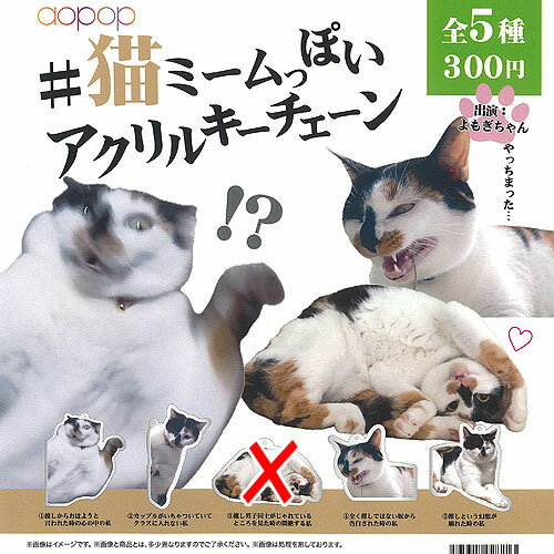 猫 ミームっぽい アクリル キーチェーン / 4種セット アオポップ ガチャポン ガチャガチャ ガシャポン