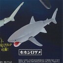 あそべる生物 フィギュア シリーズ ザ シャーク ジンベエザメ 発見 1:ホホジロザメ タカラトミーアーツ ガチャポン ガチャガチャ ガシャポン