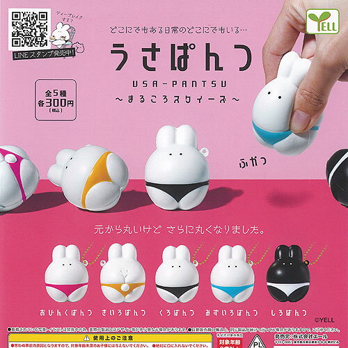 うさぱんつ まるころ スクイーズ 全5種+ディスプレイ台紙セット エール ガチャポン ガチャガチャ ガシャポン コンプリート