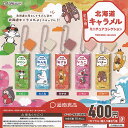 道南食品 北海道 キャラメル ミニチュア コレクション 全5種+ディスプレイ台紙セット J.DREAM ガチャポン ガチャガチャ ガシャポン コンプリート
