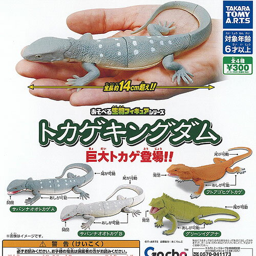 楽天市場】フトアゴヒゲトカゲ フィギュアの通販 楽天市場】フトアゴヒゲトカゲ フィギュアの通販