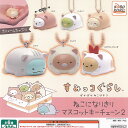サンエックス すみっコぐらし ぽかぽかねこびより ねこになりきり マスコット キーチェーン 2 全6種セット システムサービス ガチャポン コンプリート