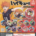 ハイキュー ラメグリッター 缶バッジ 全13種+ディスプレイ台紙セット スタンドストーンズ ガチャポン ガチャガチャ ガシャポン コンプリート