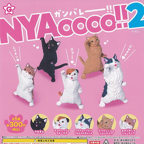ガンバレー NYAoooo 2 全5種セット エール ガチャポン ガチャガチャ ガシャポン コンプリート