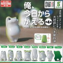 ボンゲ式 カプセル玩具シリーズ 第4弾 俺 今日から かえる 全8種+ディスプレイ台紙セット ジェンコ ガチャポン ガチャガチャ ガシャポン コンプリート