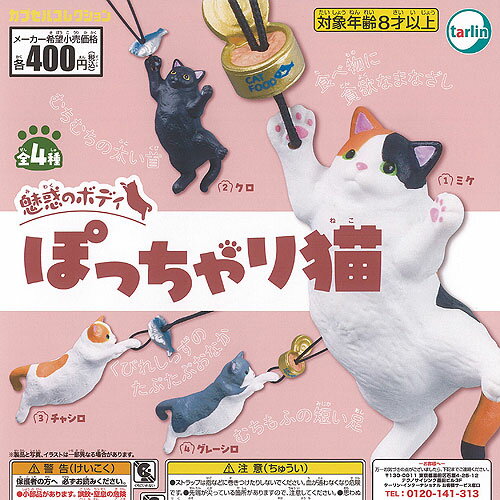 魅惑のボディ ぽっちゃり 猫 全4種セット ターリンインターナショナル ガチャポン ガチャガチャ ガシャポン コンプリート