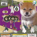 柴犬 根付 2 全5種セット ターリンインターナショナル ガチャポン ガチャガチャ ガシャポン コンプリート