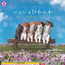 いっしょにねんね にゃんこ 全5種+ディスプレイ台紙セット エール ガチャポン ガチャガチャ ガシャポン コンプリート 猫