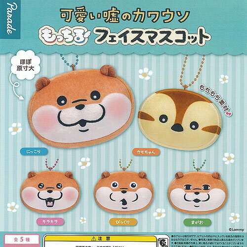 可愛い嘘のカワウソ もっちる フェイス マスコット 全5種+ディスプレイ台紙セット パレード ガチャポン ガチャガチャ ガシャポン コンプリート