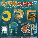 ウツボ の カラビナ 全5種+ディスプレイ台紙セット ディーアイエス ガチャポン ガチャガチャ ガシャポン コンプリート|詳細画像