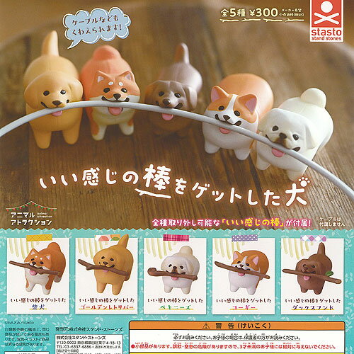もんとみ アニマル アトラクション いい感じの棒をゲットした 犬 全5種セット スタンドストーンズ ガチャポン ガチャガチャ ガシャポン コンプリート