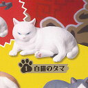 番猫 ヌードル クリップ 1:白猫のタマ ターリンインターナショナル ガチャポン ガチャガチャ ガシャポン