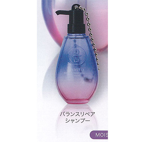 hiritu ヘアケア コレクション ミニチュア キーホルダー 3：ヒリツ モイスト バランスリペア シャンプ..