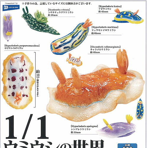 1/1 ウミウシ の世界 全6種セット レインボー ガチャポン ガチャガチャ ガシャポン コンプリート