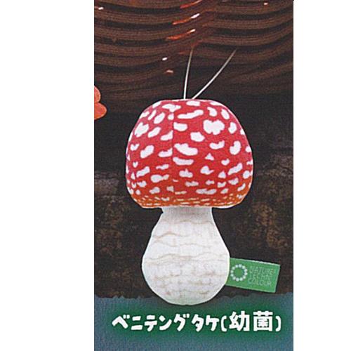 楽天市場】ベニテングタケ（ホビー）の通販