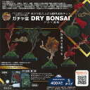 【非売品ディスプレイ台紙】自分で創り上げる DIY 盆栽キット ガチャ盆 DRY BONSAI ドライ盆栽 ビーム ガチャポン ガチャガチャ ガシャポン