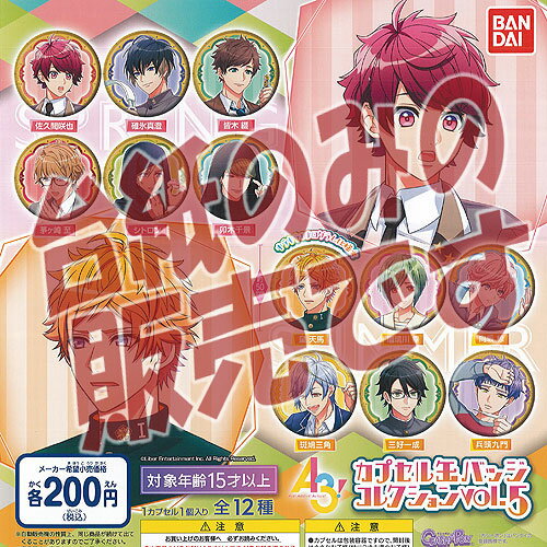 【非売品ディスプレイ台紙】A3 カプセル 缶バッジ コレクション vol.5 バンダイ ガチャポン ガチャガチャ ガシャポン