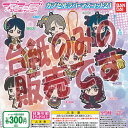 【非売品ディスプレイ台紙】ラブライブ サンシャイン カプセル ラバー マスコット 21 バンダイ ガチャポン ガチャガチャ ガシャポン