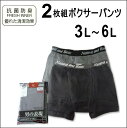 ボクサー ブリーフ 2枚組 ボクサーパンツ 送料無料 大きいサイズ 3L 4L 5L 6L メンズ 紳士 彼氏 父 夫 男性