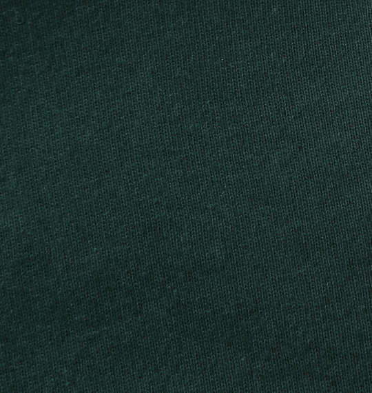 半袖Tシャツ ANIMORE Mate 天竺デビマル 3L 4L 5L 6L 7L 8L 大きいサイズ メンズ 深緑 ダークグリーン