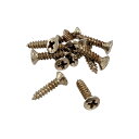 【YJB PARTS】 Relic Screws レリックネジ 【インチ】Fタイプピックガード用 12本入り 【メール便送料無料 ar1