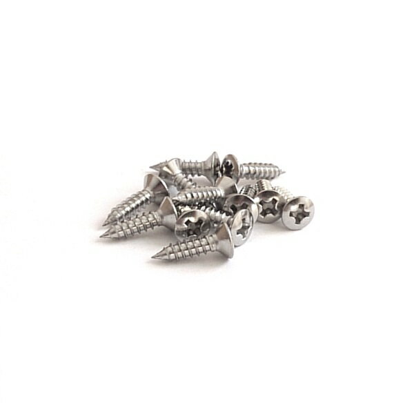 【YJB PARTS】【ギターパーツ】 ピックガード用ビス ステンレス 12本入り 【国産品】【メール便送料無料】 [ar1]