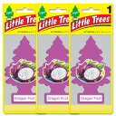 【メール便送料無料】30.Dragon Fruit (ドラゴンフルーツ)Little Trees 3個set / エアフレ 芳香剤 エアフレッシュナー 吊り下げ リトルツリー アメリカン雑貨