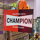 CHAMPION tW Ŕ TC ʊŔ `sI AJG K[W