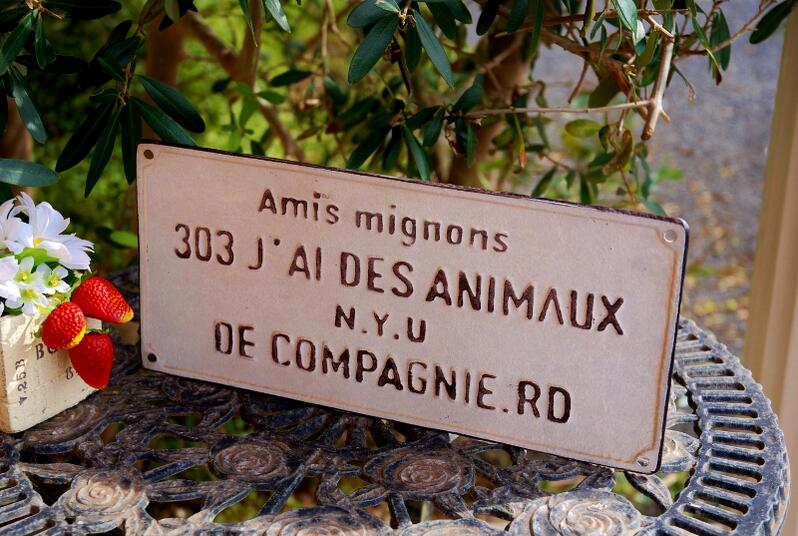 ǥ˥󥰻 ֥ꥭ ͧ Хˡץ졼  ȥ ֥ꥭ ץ졼 ǥ󻨲 ȥ꡼ ǥ󥵥 ƥꥢ ...