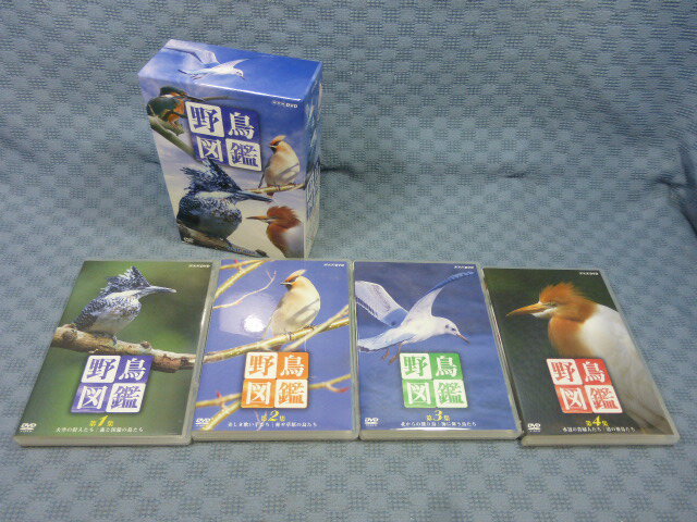 【国内盤DVD】【新品】U-KISS ／ 1st JAPAN LIVE TOUR 2012〈2枚組〉 [2枚組]