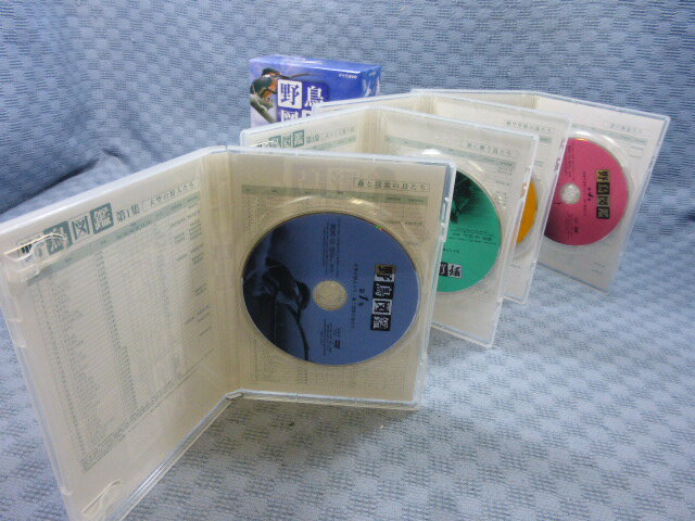 【国内盤DVD】【新品】U-KISS ／ 1st JAPAN LIVE TOUR 2012〈2枚組〉 [2枚組]