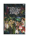 【中古】DVD「 The Love Bugs 」地球ゴージャスプロデュース公演 Vol.14