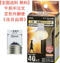 【全国送料 無料】LED電球（40形相当/557lm/昼光色/E26/人感・明暗センサー付） 型番 LDR5L-WS 9 品番 06-0787 JAN 4971275607873