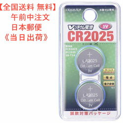 【送料無料】Vリチウム電池（CR2025/2個入り）型番 CR2025/B2P 品番 07-9972 販売元 (株)オーム電機 JAN4971275799721