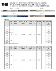 フォーティーン_TC404_アイアン_FOURTEEN_TC404_IRON_TourAD_75_ツアーAD_75