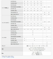 プロギア_RS_TITAN_FACE_アイアン_PRGR_RS_TITAN_FACE_IRON_NSPRO_MODUS3_SYSTEM3_TOUR125