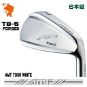 FOURTEEN TB-5 FORGED IRON tH[eB[ TB5 ACA 6{g AMT TOUR WHITE X`[Vtg [J[JX^