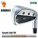 BRIDGESTONE 2024 245MAX IRON uaXg 245}bNX ACA 6{g Dynamic Gold 105 _Ci~bNS[h [J[JX^