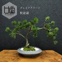 BONSAI フェイクグリーン 造花 盆栽 人工観葉植物 [ 松 盆栽 平皿 大 ] インテリアグリーン 大型 盆栽 和モダン 苔 プレゼント ギフト おしゃれ 癒やし 和風 置物 モダン盆栽 飾り リビング 雑貨 日本製 CUPBON カップボン プリマ