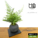 センスのいい観葉植物 フェイクグリーン 造花盆栽 人工観葉植物 シノブ 檜炭 ボール インテリアグリーン 和モダン 消臭 脱臭 調湿 コンパクト お正月 プレゼント ギフト おしゃれ 癒やし かわいい 置物 飾り 雑貨 日本製 CUPBON カップボン PRGR-1098 プリマ ラッピング可