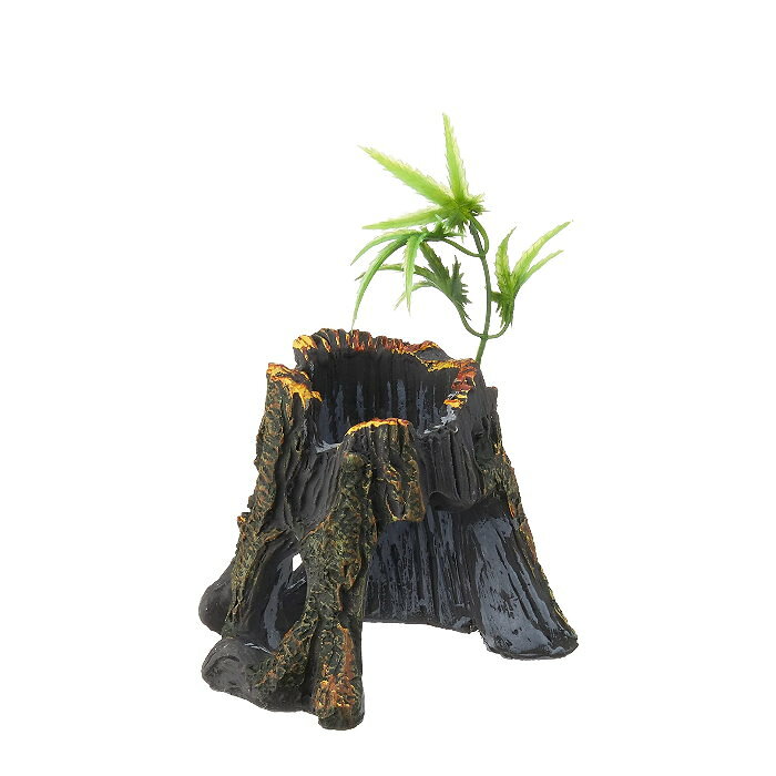 【アウトレット品】ジェックス ナチュラルシェルターシリーズ きり株S 約10×6×6cm ...