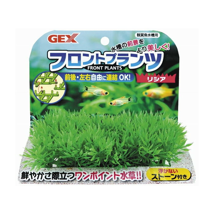 【アウトレット品】 フロントプランツ 水槽の前景をより美しく！ジェックス 人工水...