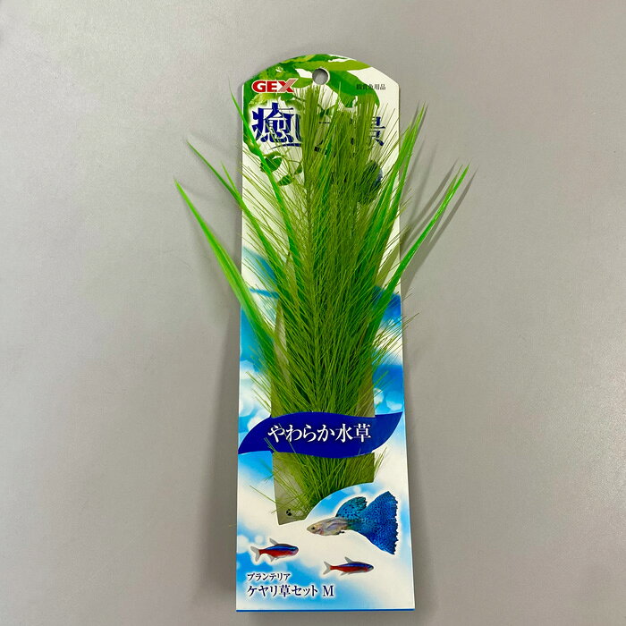 【アウトレット品】 癒し水景 プランテリア ケヤリ草セットM ゆらり揺らめく やわ...