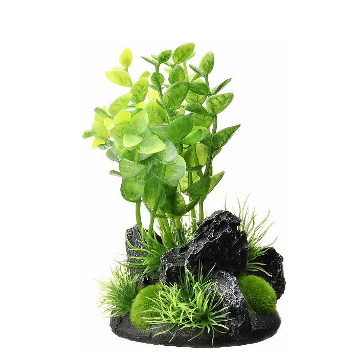 【アウトレット品】癒し水景 アクアキャンバス ロタラ 観賞魚用アクセサリー 水草インテリア アクアリウム