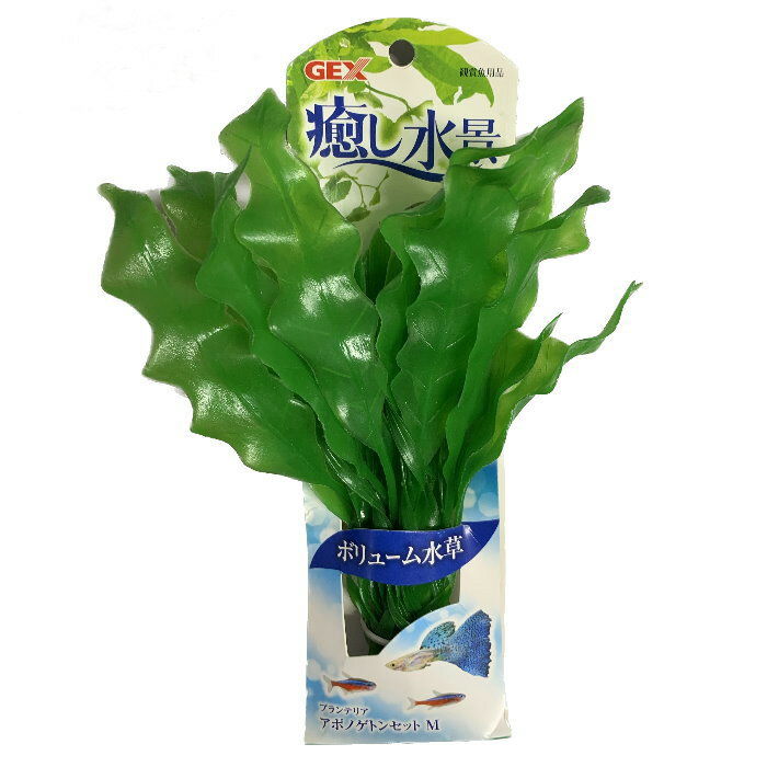 【アウトレット品】癒し水景 プランテリア アポノゲトンセット M 水槽用品 人工水...